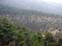 rea cortafuegos en Sierra Espua