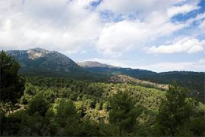 Morrn de Espua y al fondo paredes de Leiva