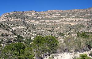 La ladera sur de la sierra de la Pila, en Abarn. En la base margas cretcicas, y los farallones estn formados por calizas palegenas y negenas