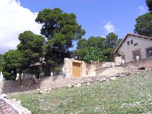 Vista de El Algarrobo 