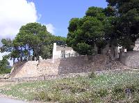 Pinos y Casas