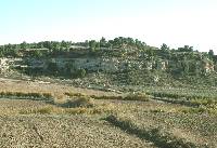 Calizas lacustres con oncolitos del Plioceno de la  cuenca lacustre de Terragoya-los Royos, Caravaca