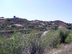 Casas en el Cabezo del Sastre 