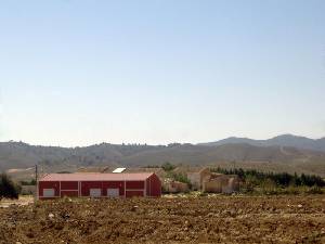 Vista General de El Hinojar