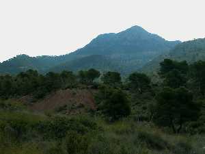 Panormica de la vertiente Oeste de la Sierra del Carche. P. R. Sierra del Carche.