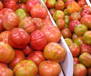 Tomates