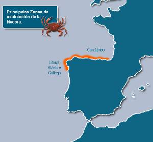 Zonas de explotacin de la ncora en la Pennsula Ibrica