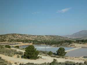 Salinas de la Rosa. P. R. Sierra del Carche.