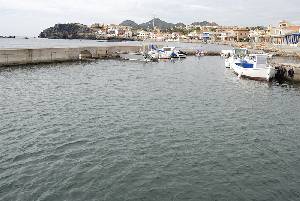 Puerto pesquero de Cabo de Palos [Mero]