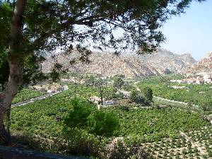 Panormica del Valle de Ricote