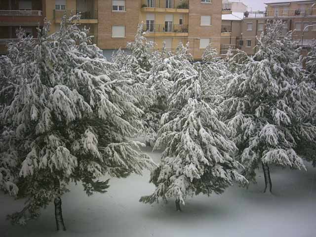 Estampa Navidea en Marzo