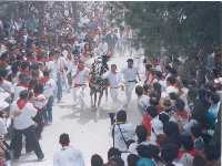 Carrera de los Caballos del Vino.