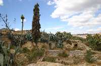 Casas/Cueva del Castillo de Nogalte