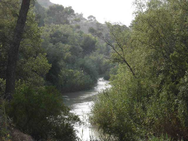 El ro Segura a su paso por la Marquesa