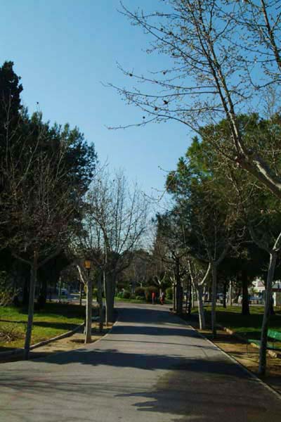 Parque de la Constitucin