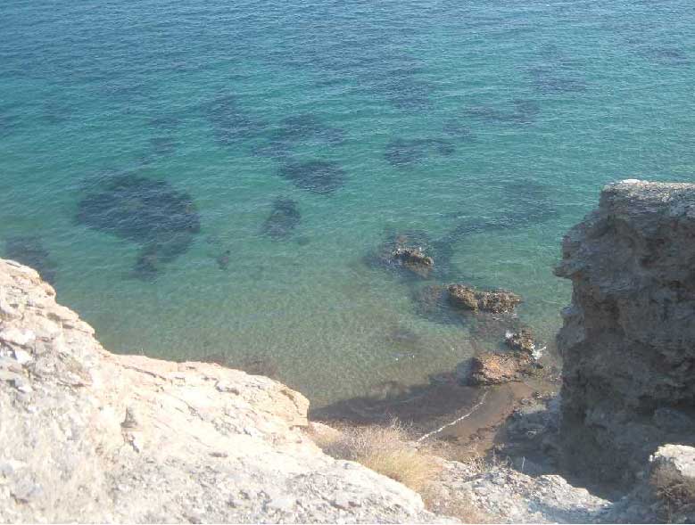 Costa de guilas