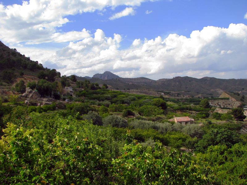 Huerta de la Sierra del Oro