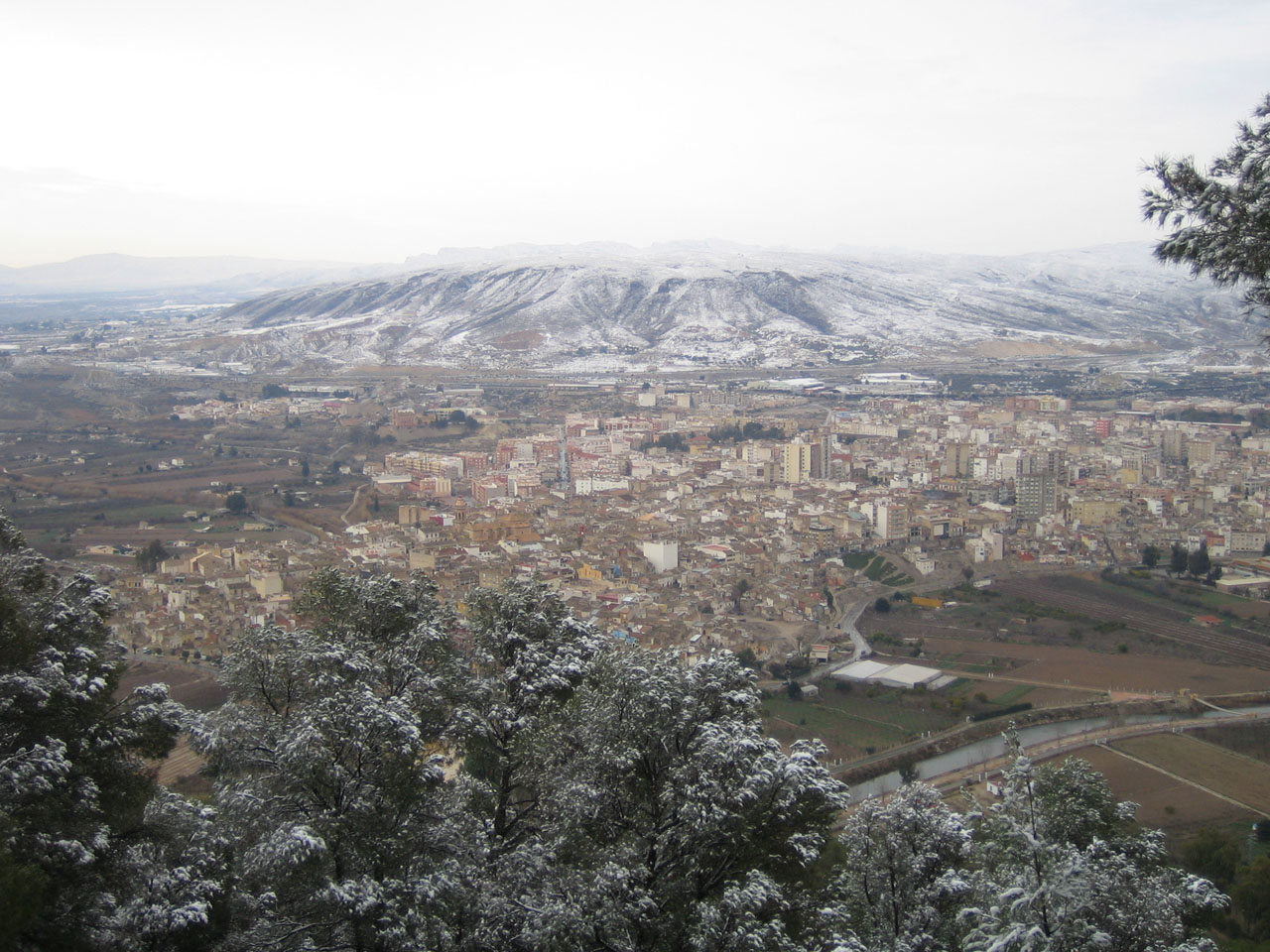 Cieza nevada