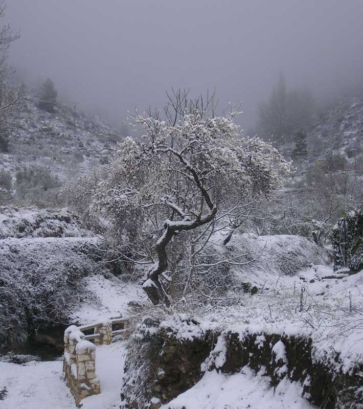 Nieve en Benizar