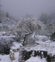 Nieve en Benizar