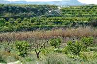 La Huerta de Campos del Ro